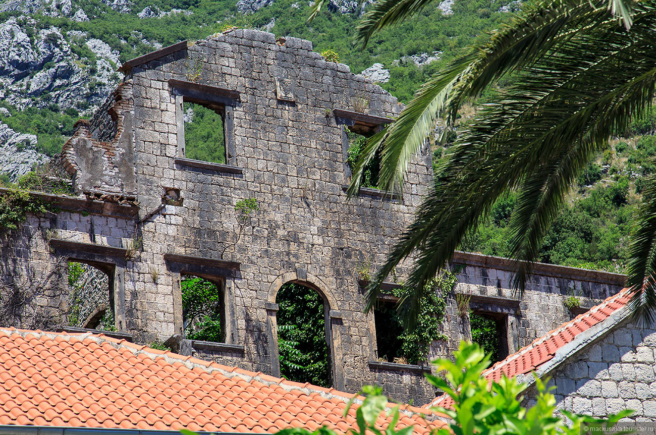 Perast